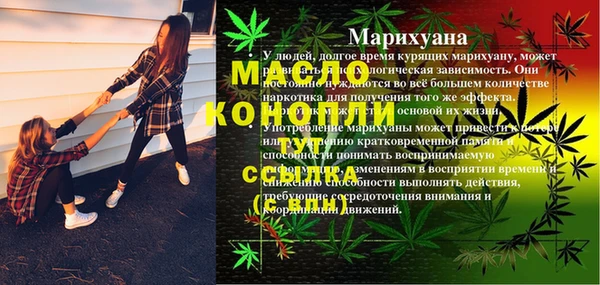 соль ск Алексин