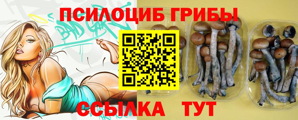 Псилоцибиновые грибы GOLDEN TEACHER  Псилоцибиновые грибы Cubensis  Вход с VPN  Коркино 